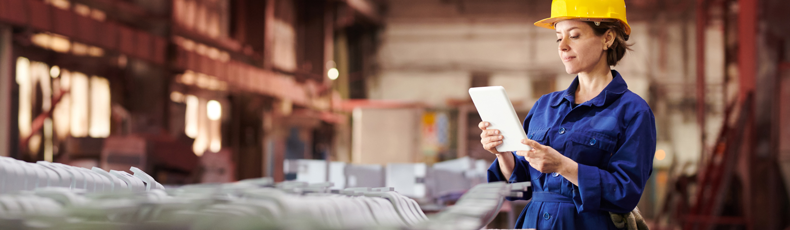 Header E-Book SAP Ratgeber